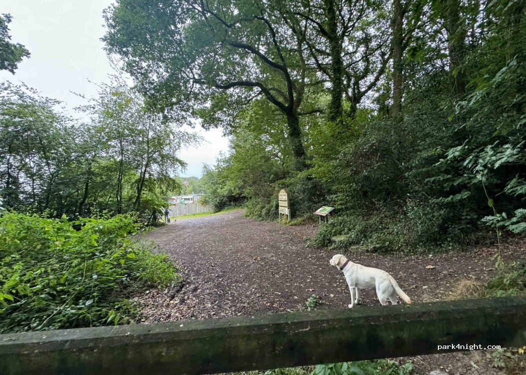 (SY5 0YL) Shrewsbury - — foto