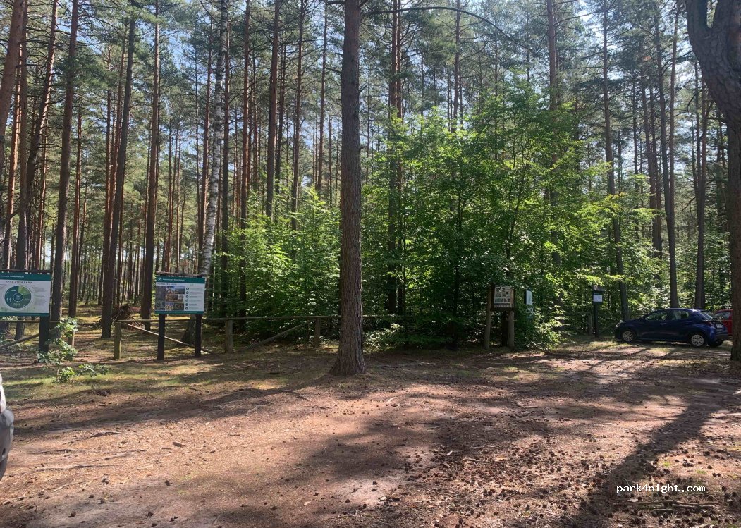 (11-015) Rybaczówka - Unnamed Road — foto