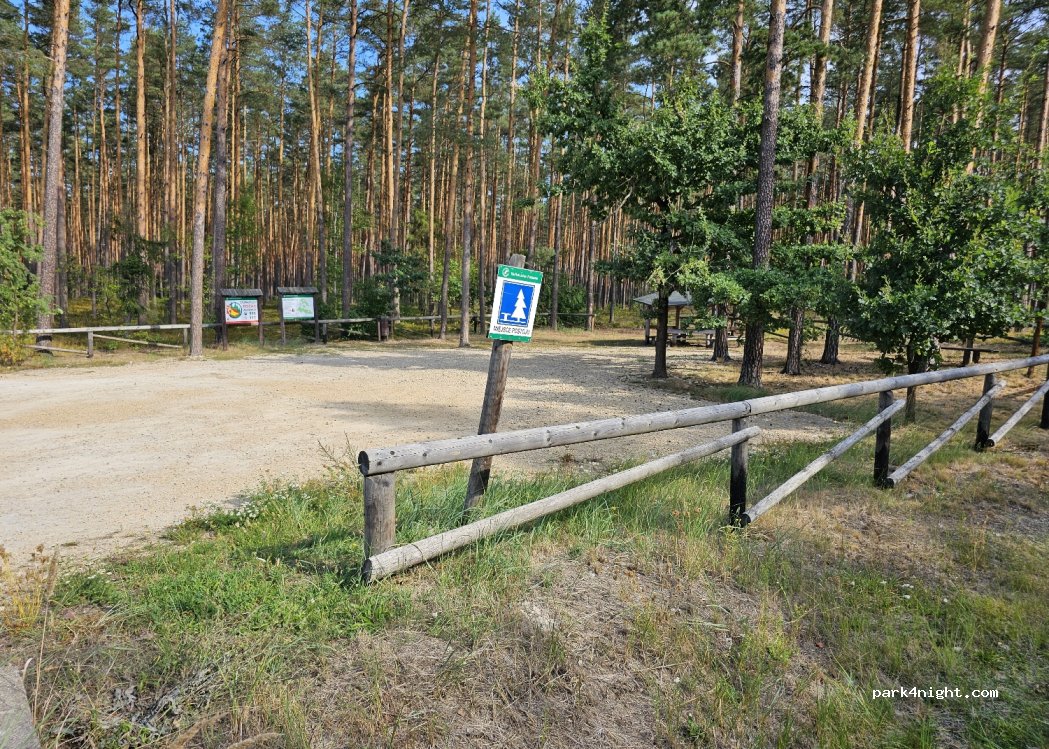 (42-660) Brusiek - Droga Wojewódzka 907 — foto