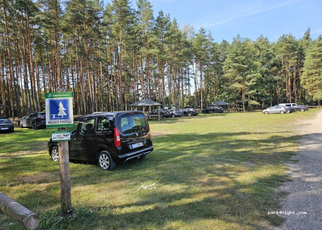 (42-286) Brusiek - 40 Przylasek — foto