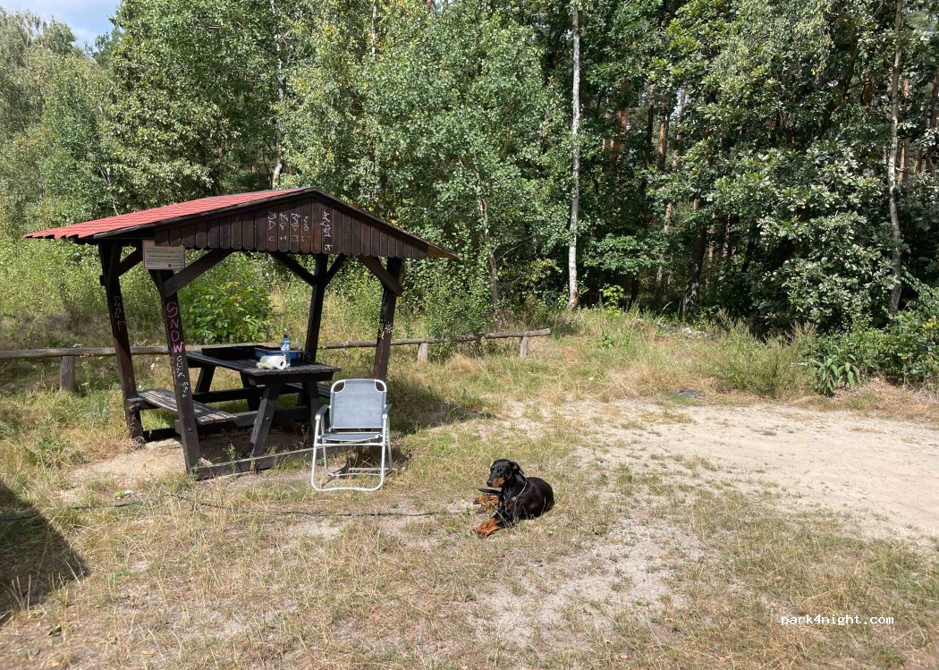 (06) Gräfenhainichen - — foto 2