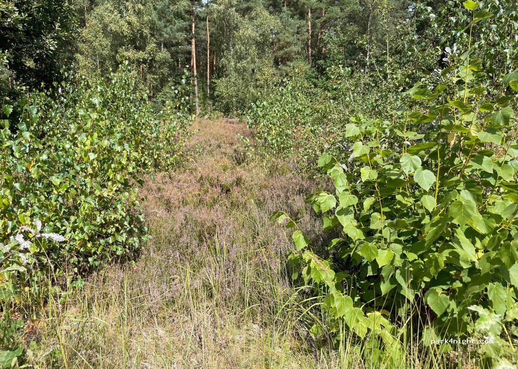 (06) Gräfenhainichen - — foto 3