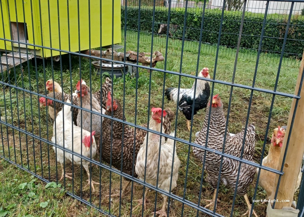 (88373) Fleischwangen - 39 Bachstraße — foto 4