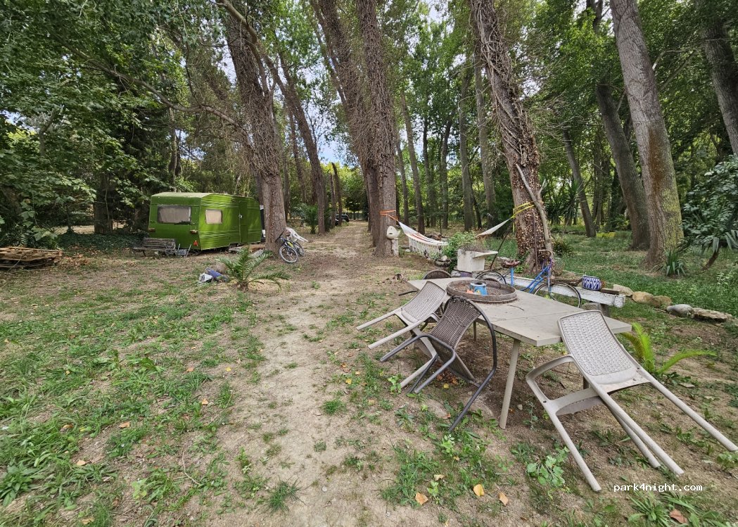 (17470) Sant Pere Pescador - 9 Carrer de Torroella — foto