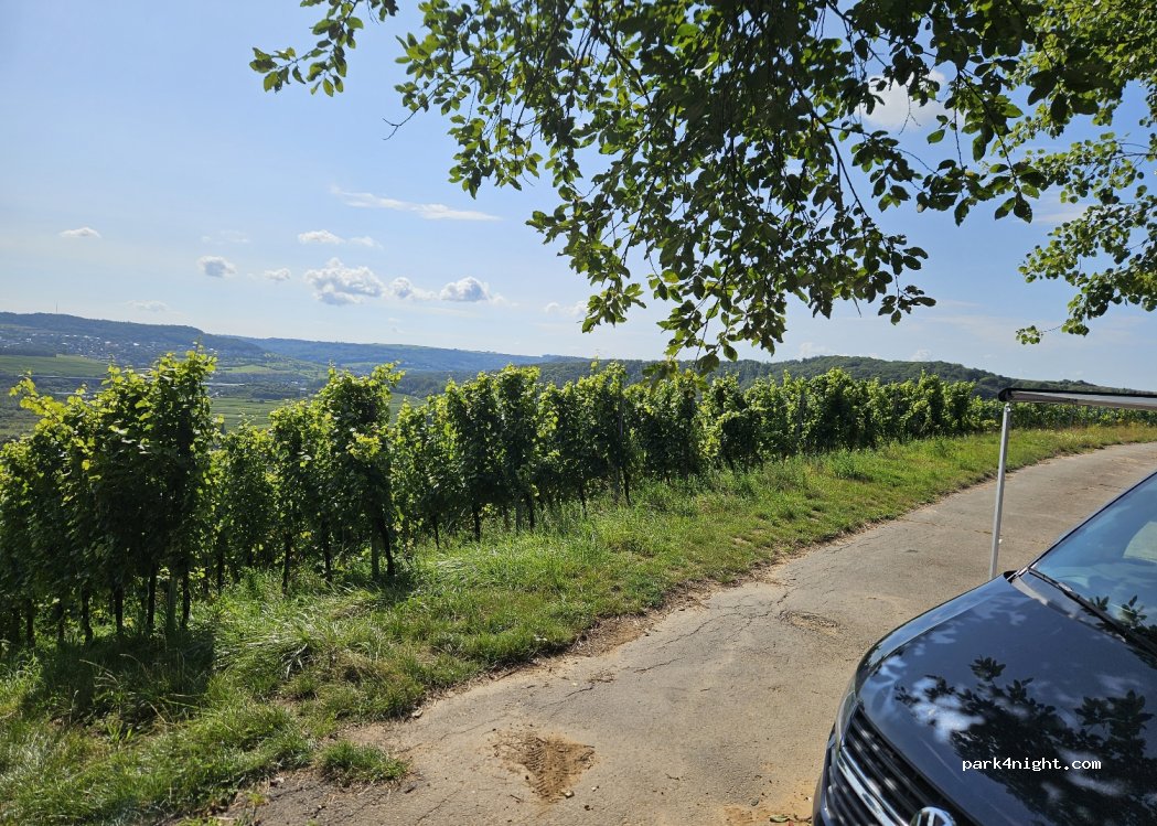 (5441) Schengen - Rue de Wintrange — foto