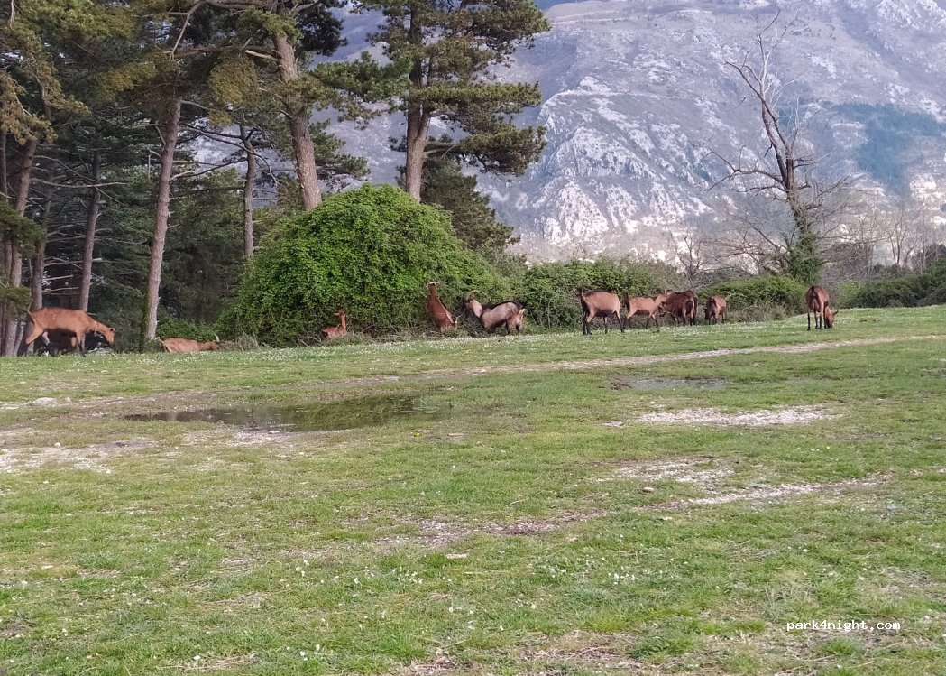 () Kavač - Unnamed Road — foto 3