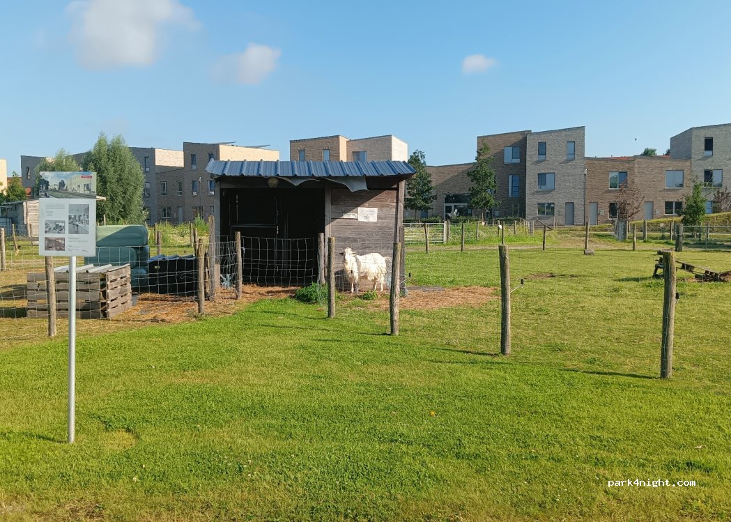 (8630) Veurne - Brikkerijstraat — foto 2