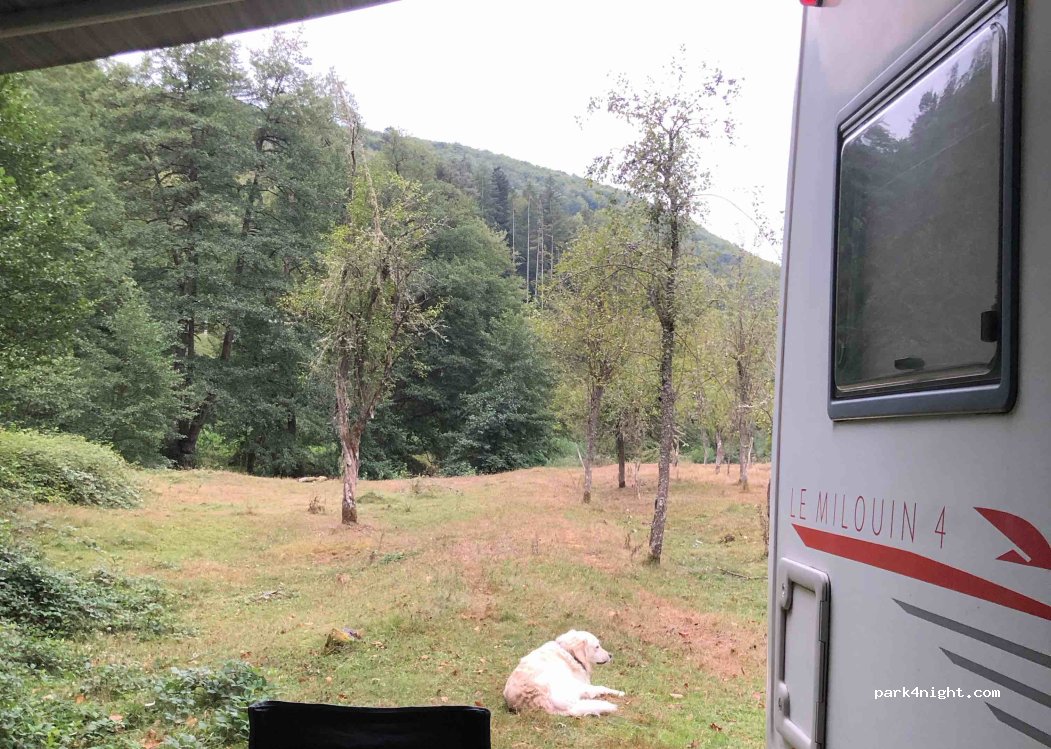 (317063) Mădrigești - — foto