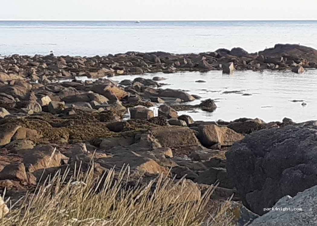 (50330) Vicq-sur-Mer - 1 La Loge — foto