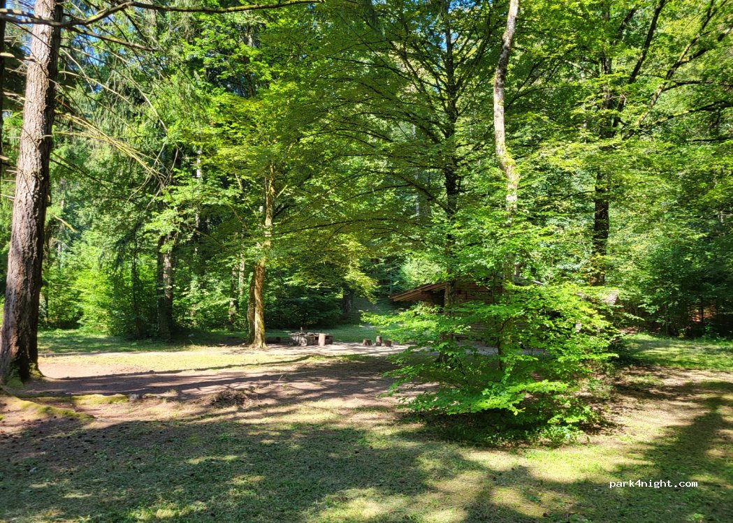 (2542) Biel/Bienne - Bozingenberg — foto