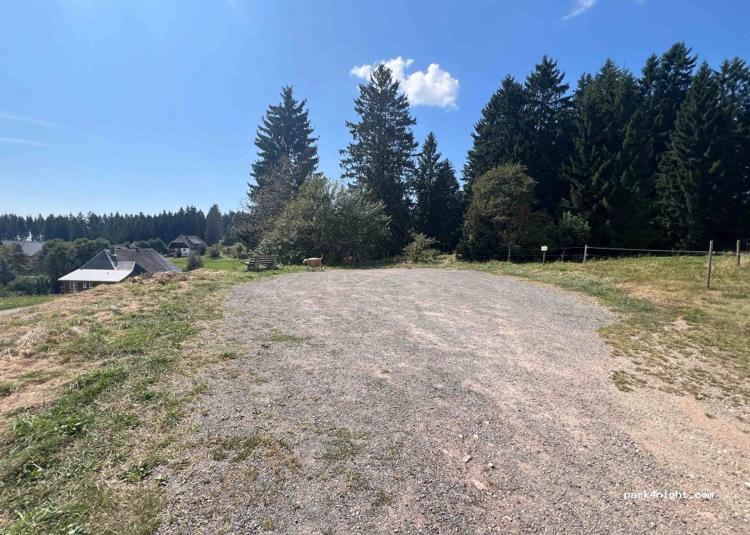 (79875) Dachsberg (Südschwarzwald) - 1 Rüttewies — foto