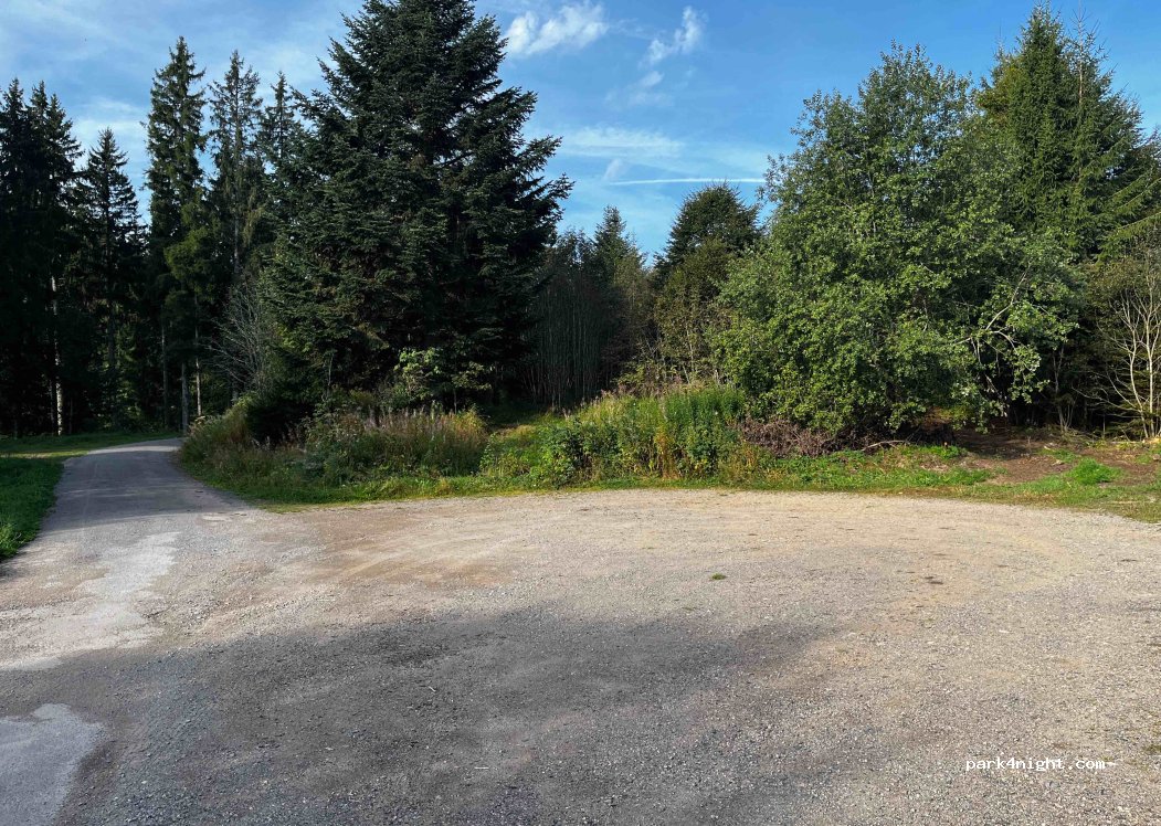 (79859) Schluchsee - Unnamed Road — foto