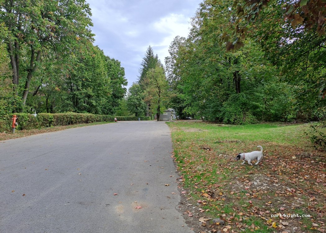 (500419) Brașov - 1 Strada Panselelor — foto 2