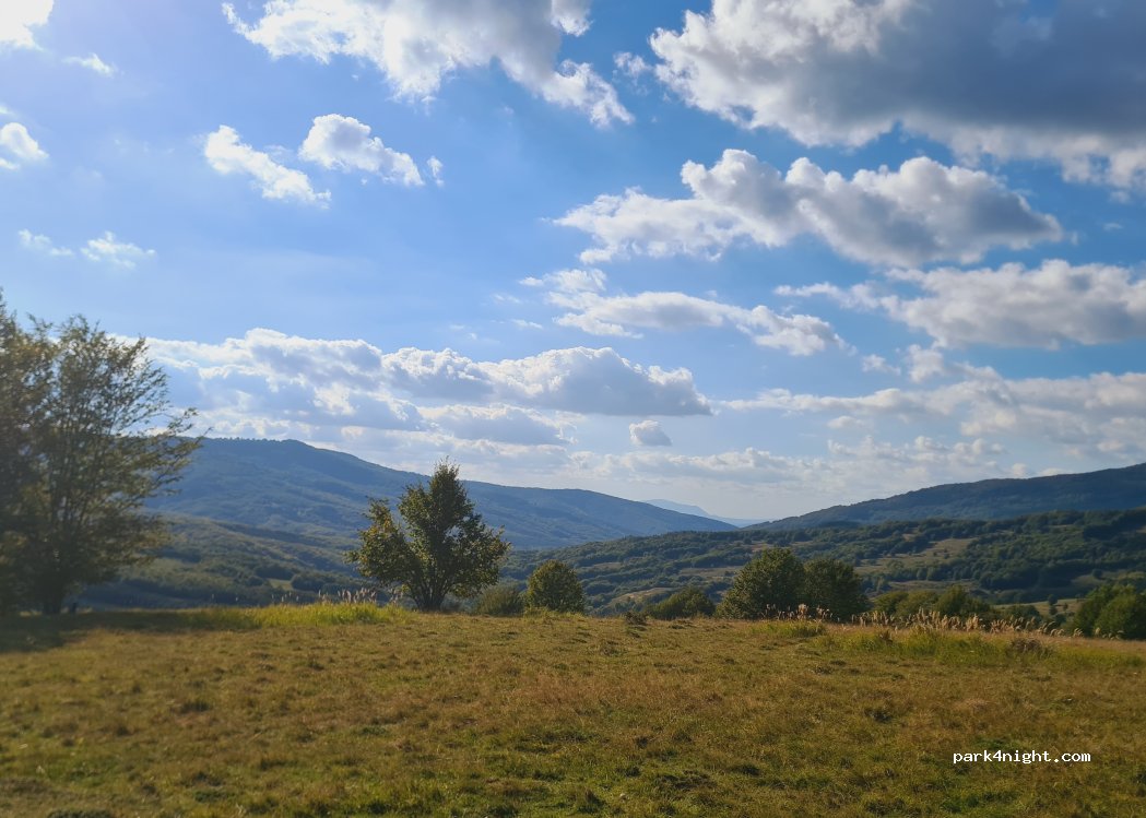 (507246) Acriș - — foto 4