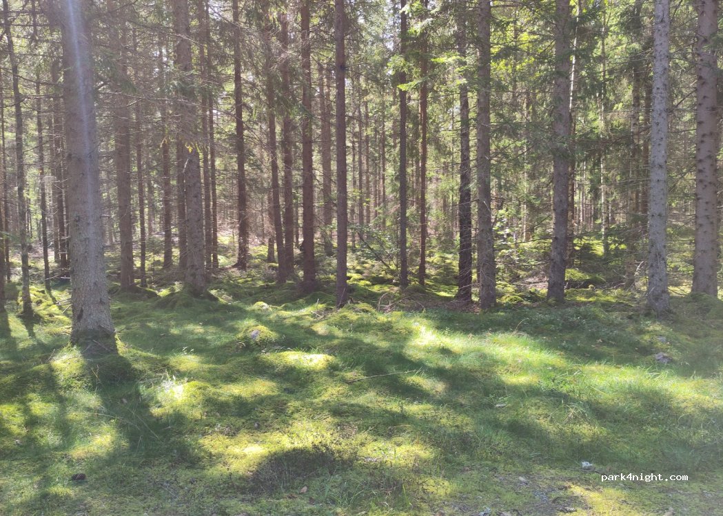(361 94) Eriksmåla - — foto 3