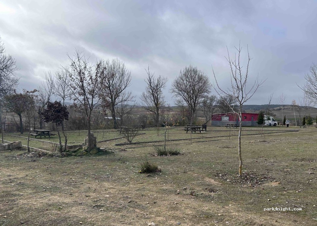 (49714) Fuentespreadas - — foto 5