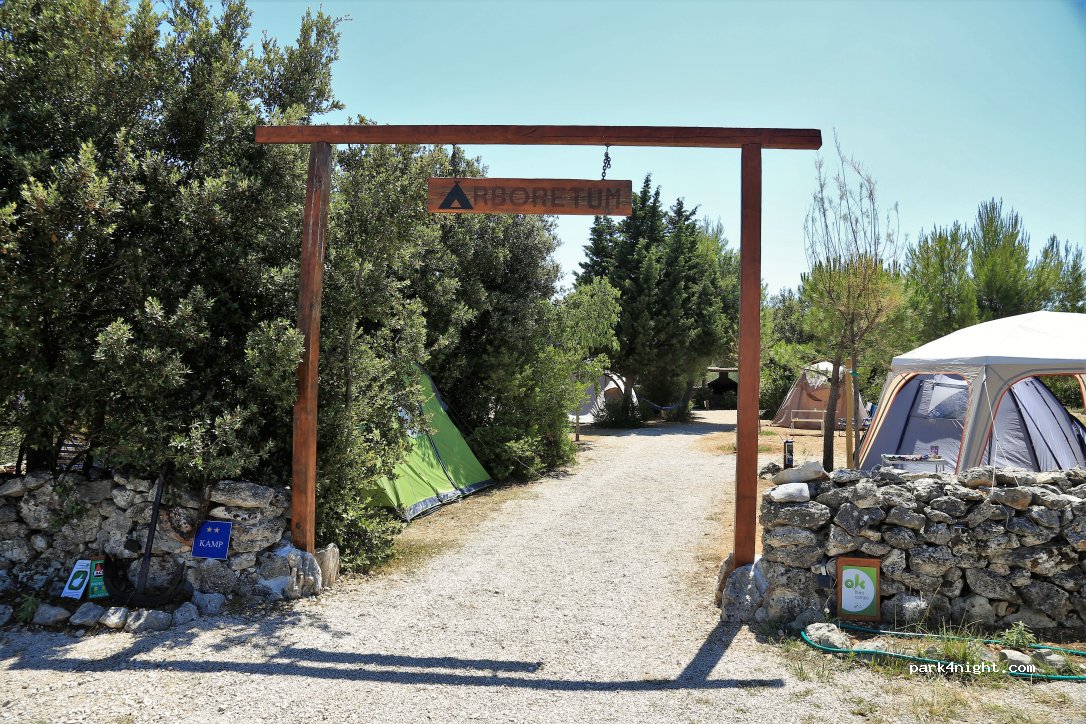 camp arboretum — foto