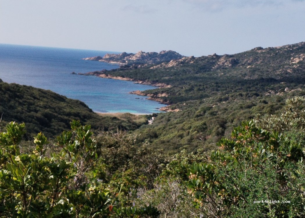 (20169) Bonifacio - — foto
