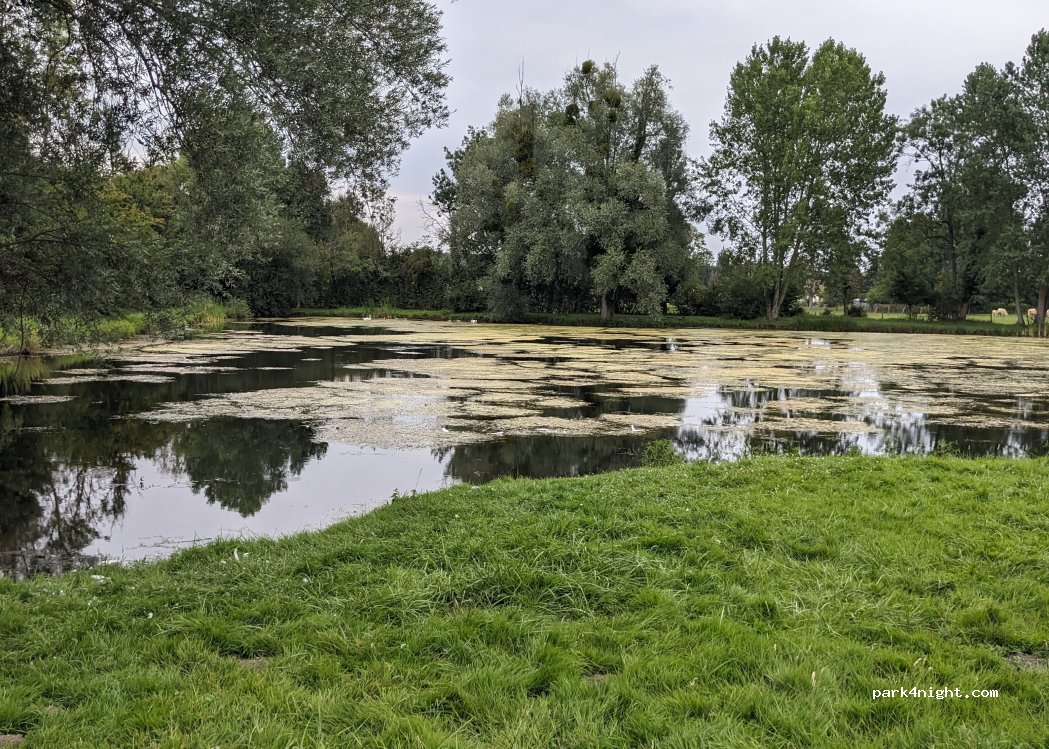 (80160) Lœuilly - 11 Le Marais — foto 5