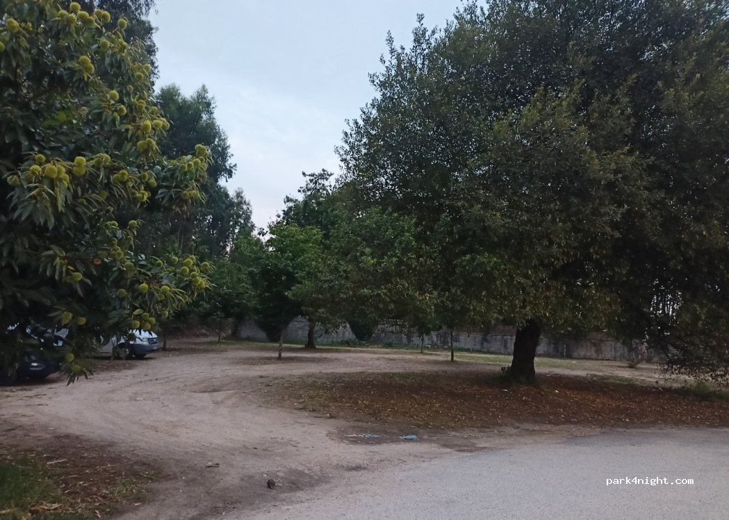 (36629) Vilanova de Arousa - — foto