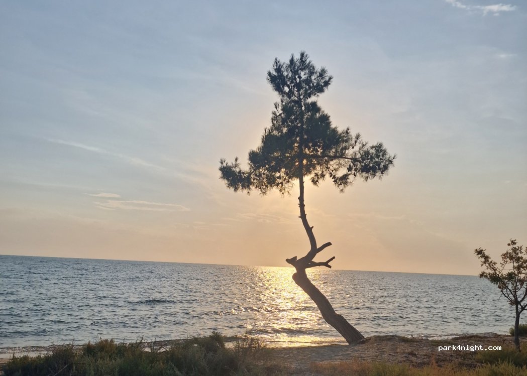 (575 00) Paralia Epanomis - — foto