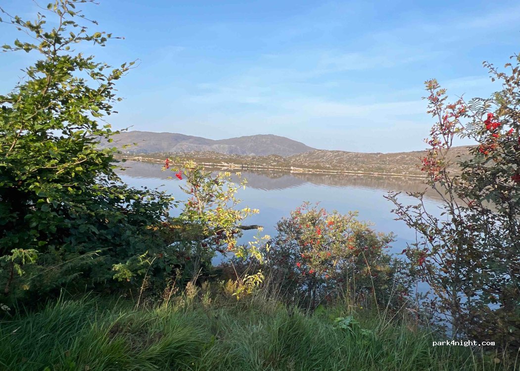 (6729) Kalvåg - — foto