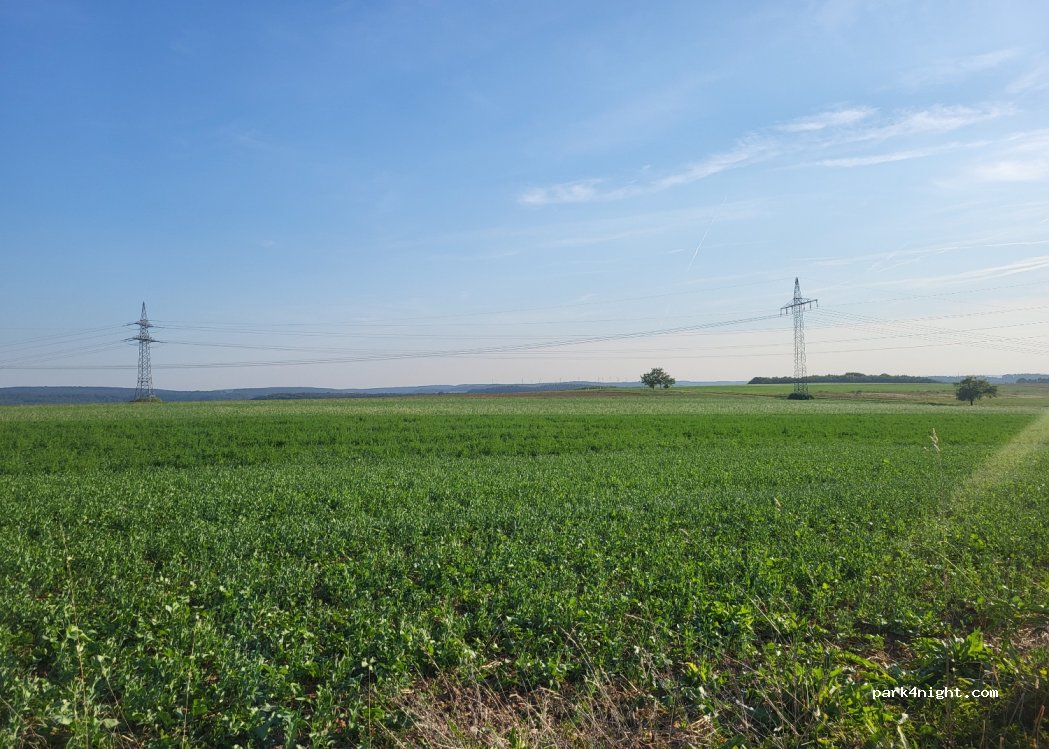 (97837) Triefenstein - — foto 3