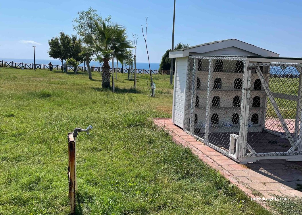 (07230) Muratpaşa - 3 2106. Sokak — foto