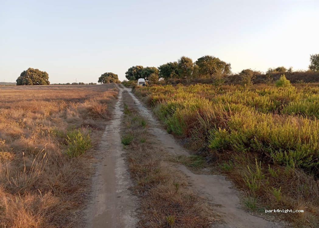 (7520-138) Sines - — foto 4