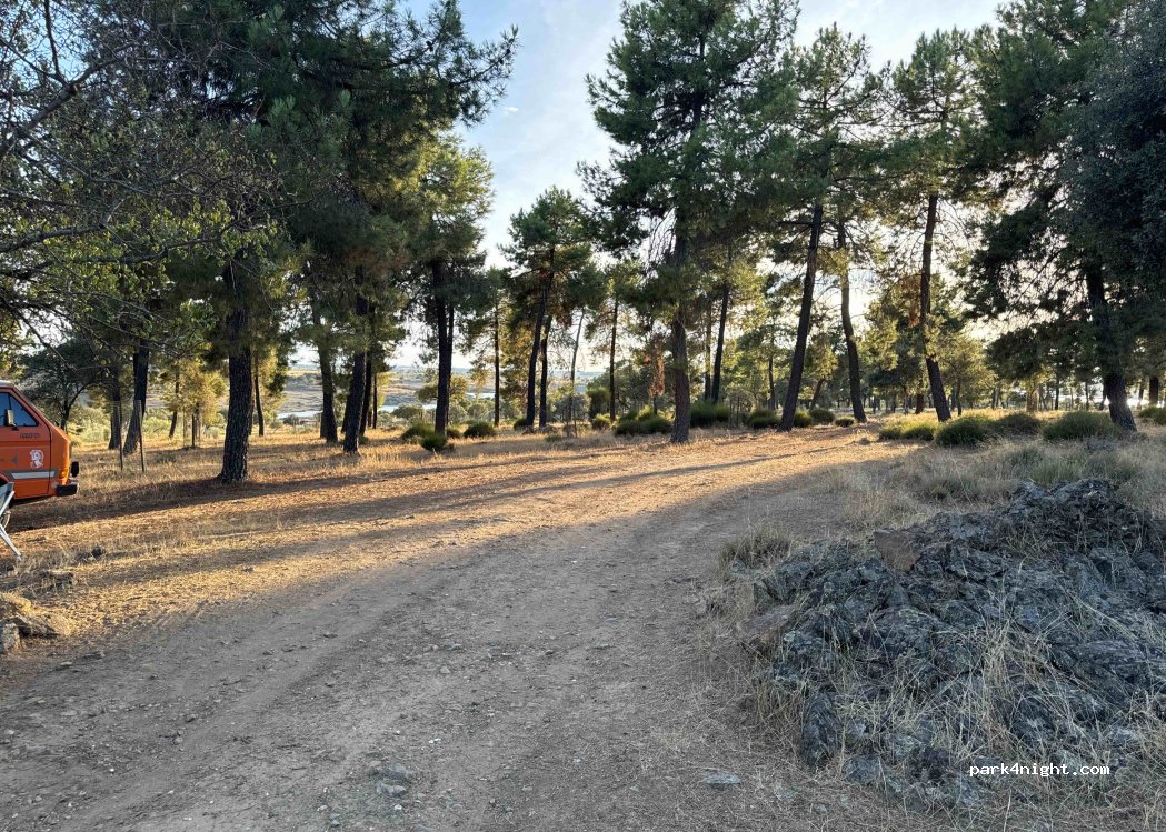 (10710) Granadilla - Unnamed Road — foto