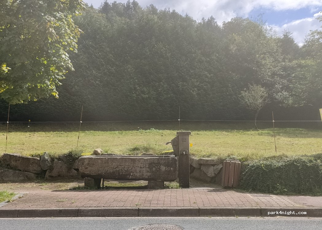 (88230) Plainfaing - 536 Route de Gérardmer — foto