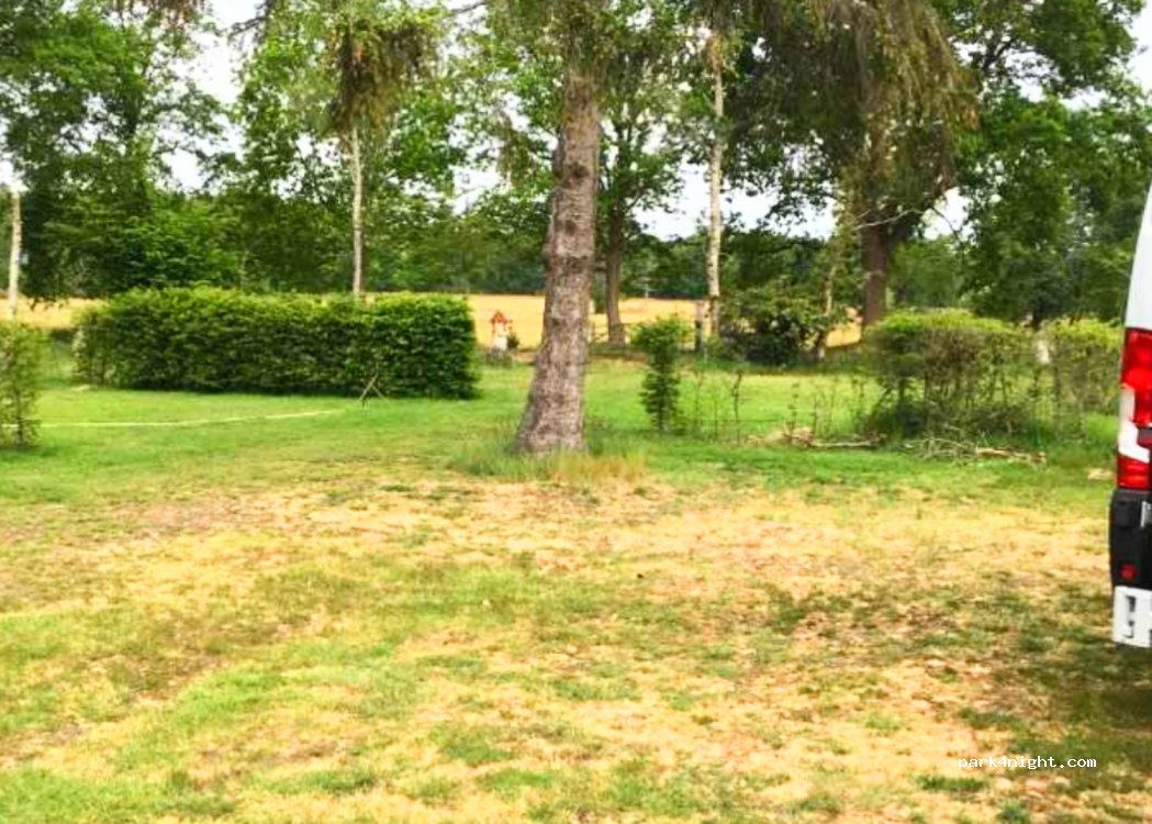 Camping de Drentse Patrijs — foto 2