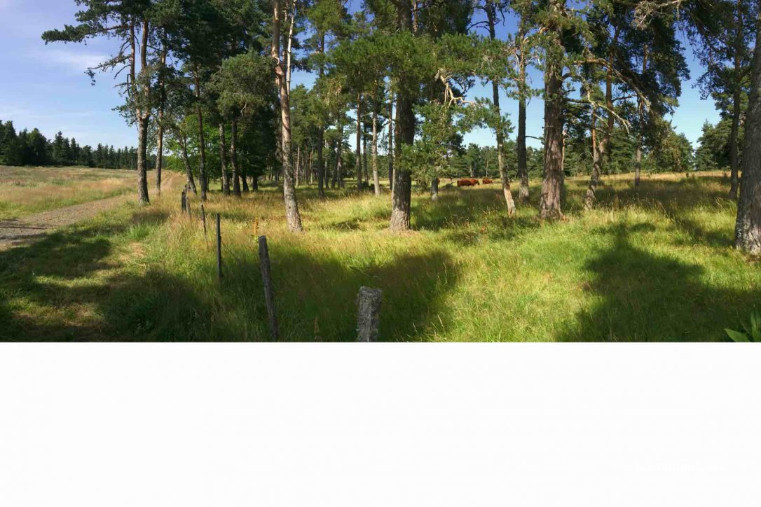 (15300) Chavagnac - Unnamed Road — foto