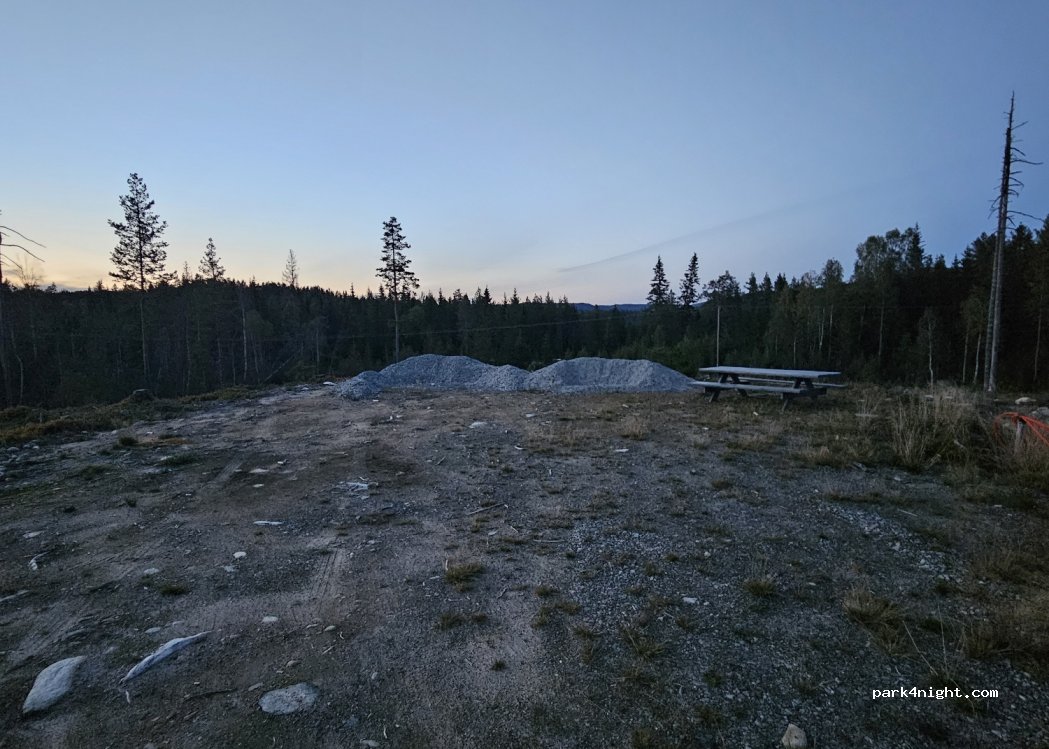 (3624) Lyngdal i Numedal - 1027 Letmolivegen — foto
