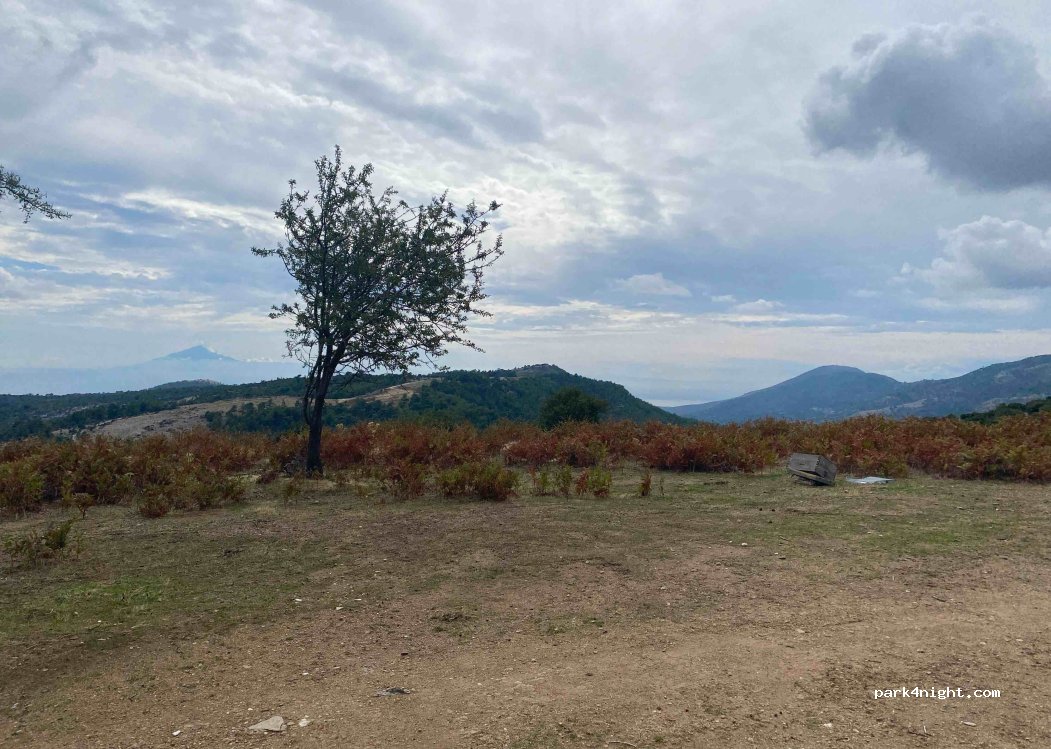 (640 02) Thasos - — foto