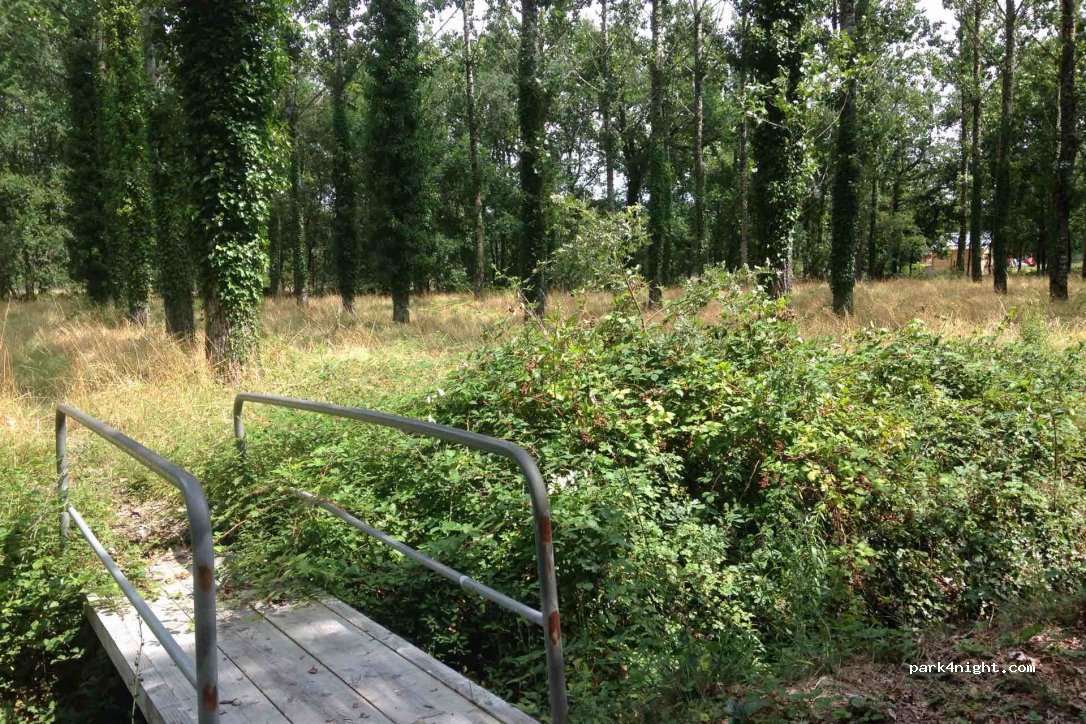 (33125) Hostens - 18 Route de Mont de Marsan — foto 4