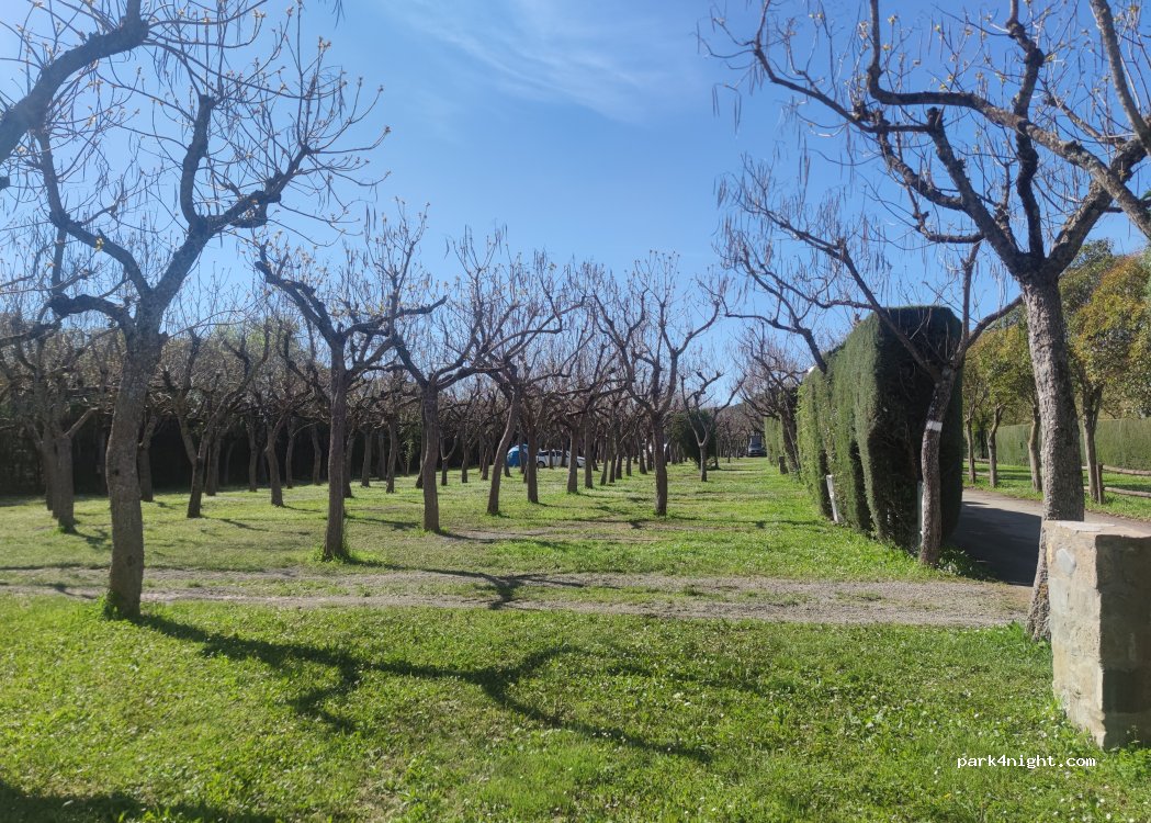 Camping Peña Montañesa — foto 5
