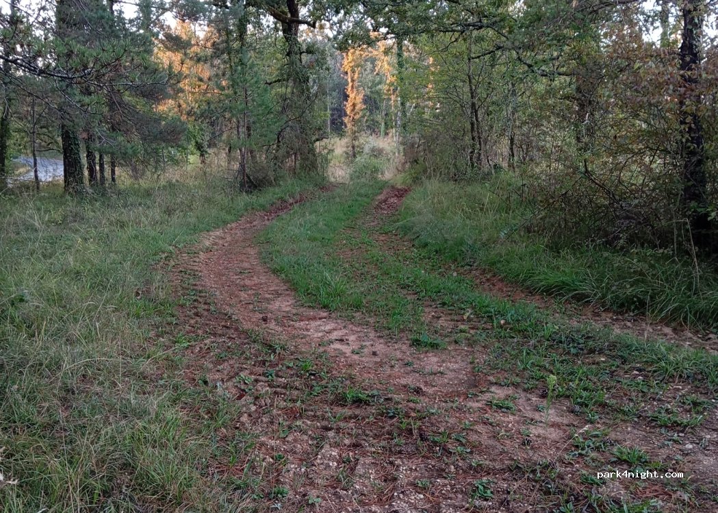 (24590) Salignac-Eyvigues - — foto