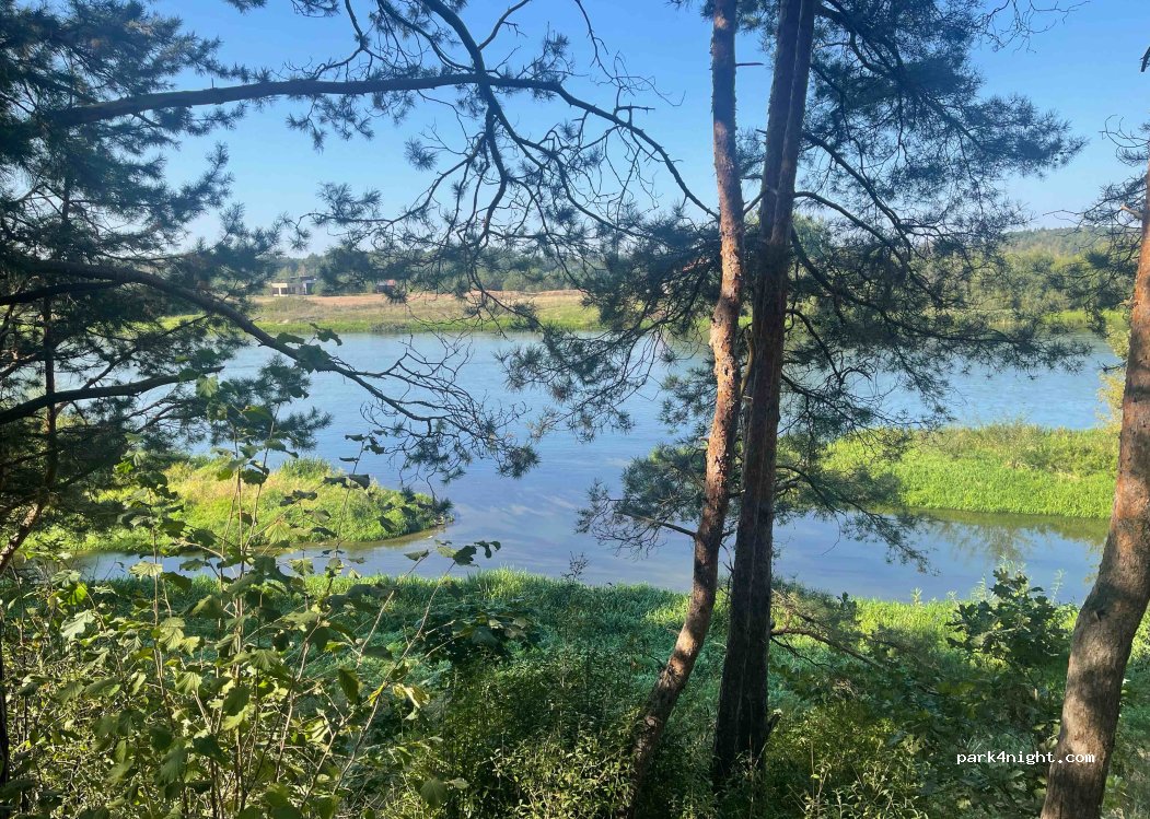 (54470) Vaistariškiai - — foto 2