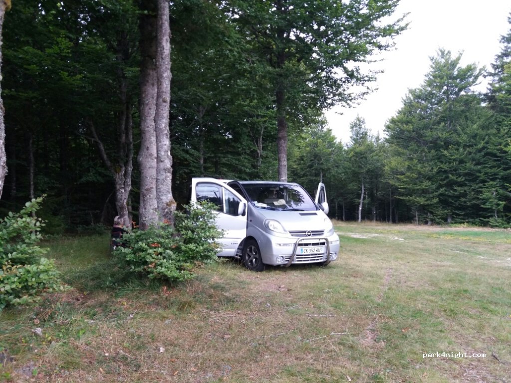 (07330) Astet - D239 — foto 2