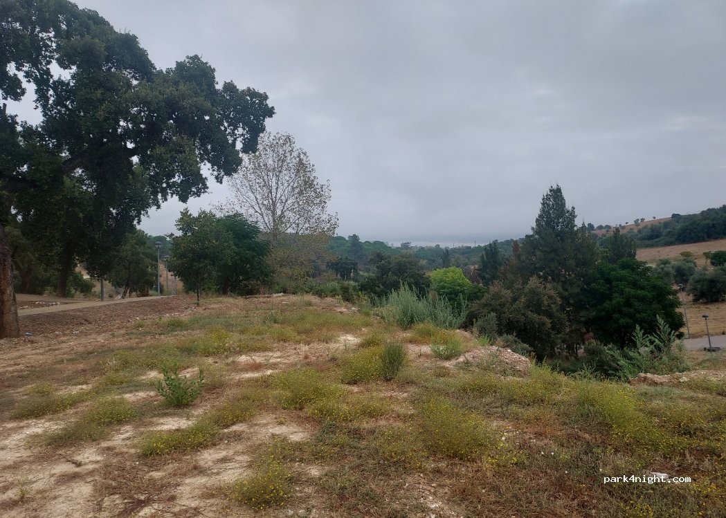 (7425) Montargil - Estr. do Poco — foto 2