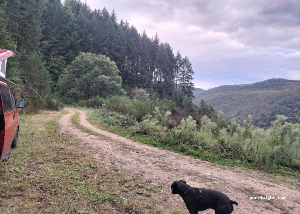 (81290) Labruguière - — foto 3