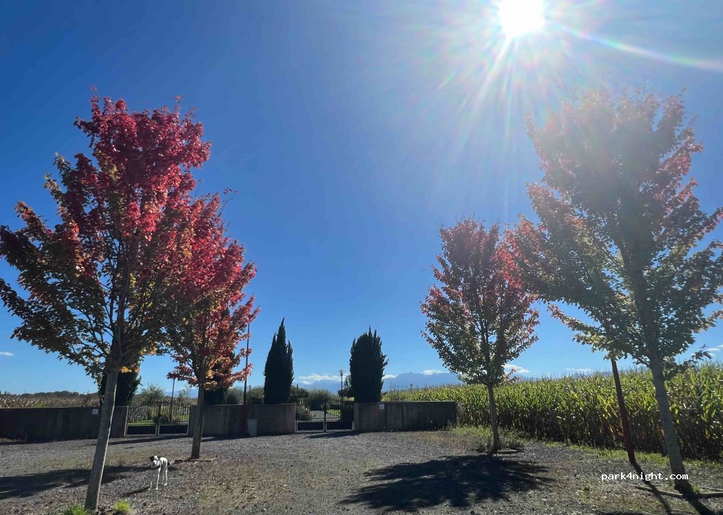 (64400) Geüs-d'Oloron - 432 Chemin de la Campagne — foto