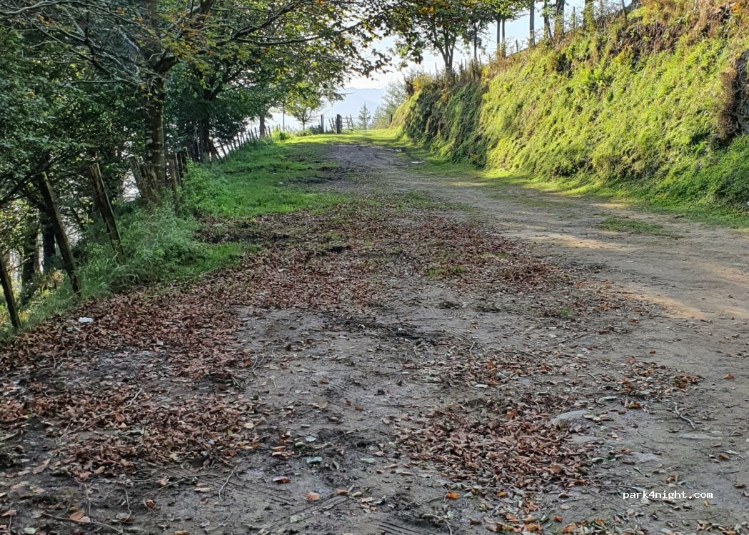 (20737) Letea - 23A Diseminado Letea — foto