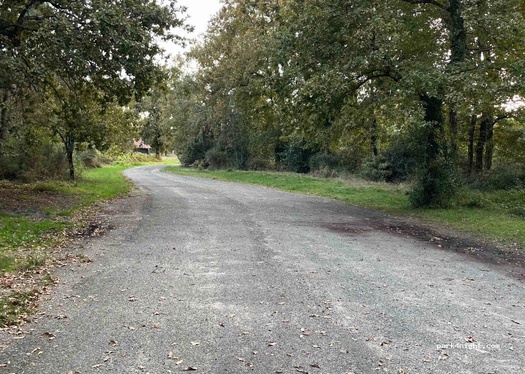 (40210) Labouheyre - — foto