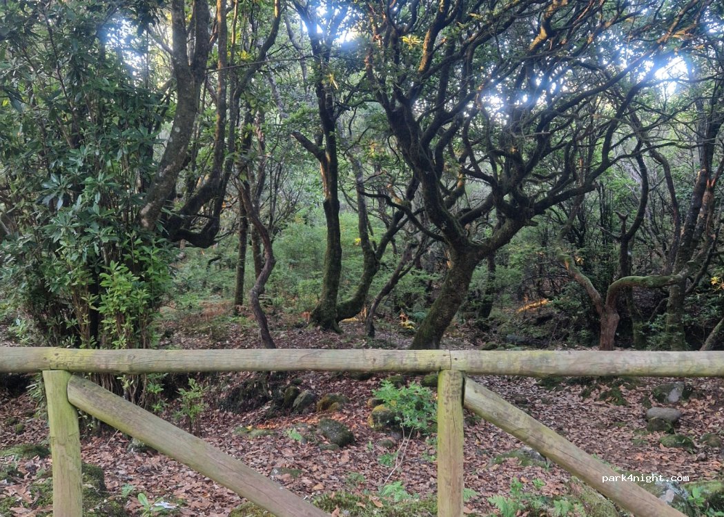 Ribeira da Janela - ER209 — foto 2