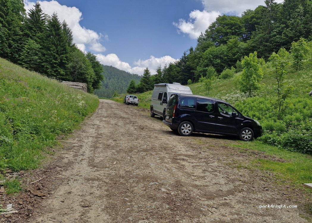 (79244) Münstertal - — foto