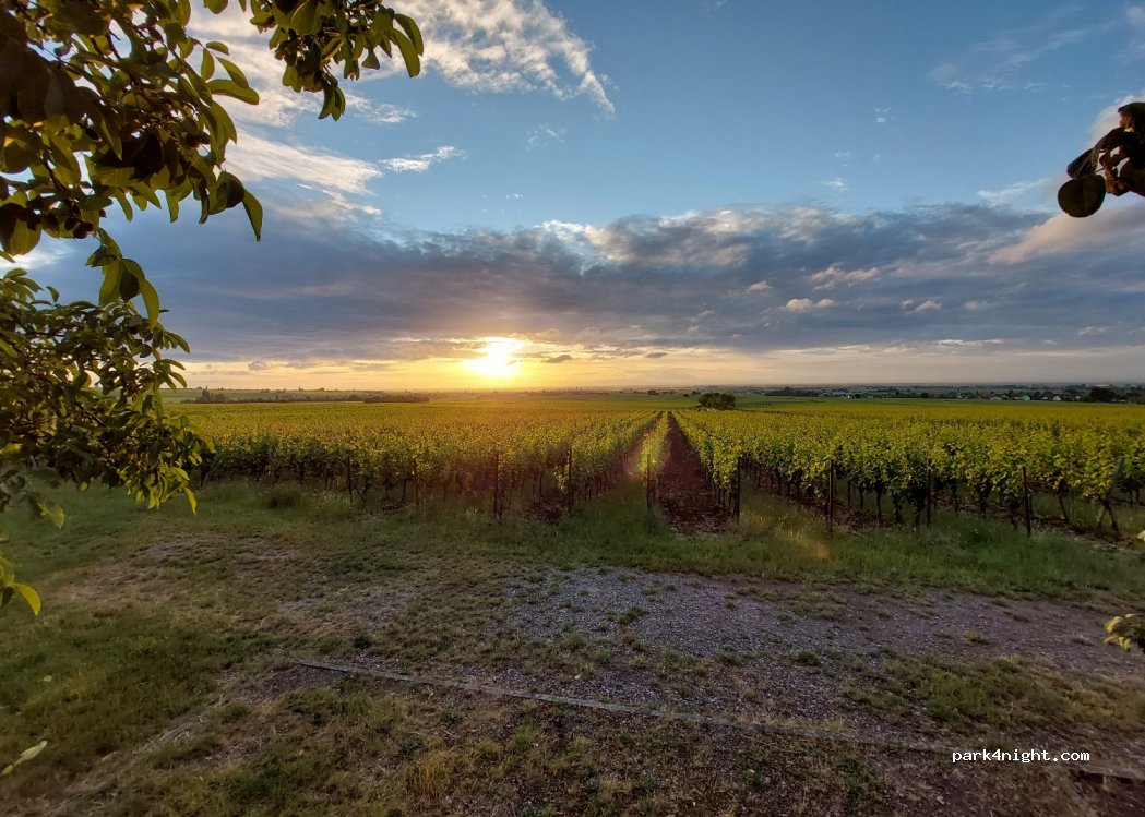 Weingut Gästehaus Hermann Eberle — foto