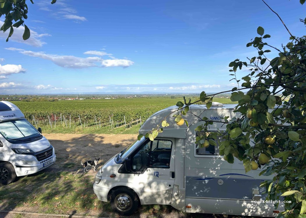 Weingut Gästehaus Hermann Eberle — foto 4