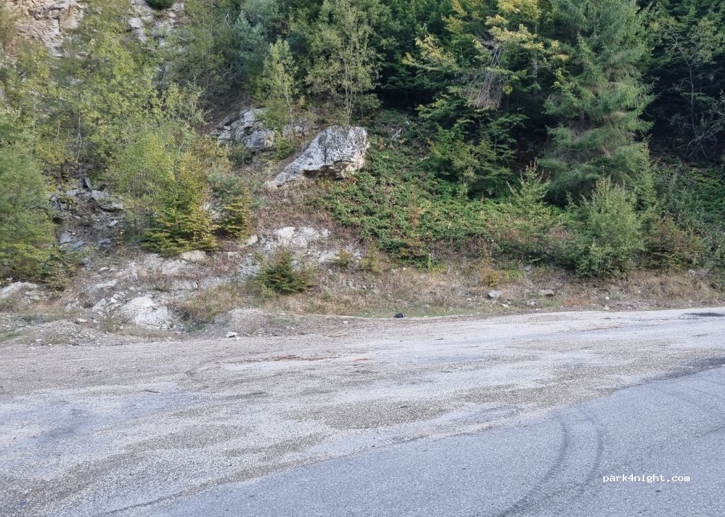 (325700) Oțelu Roșu - — foto